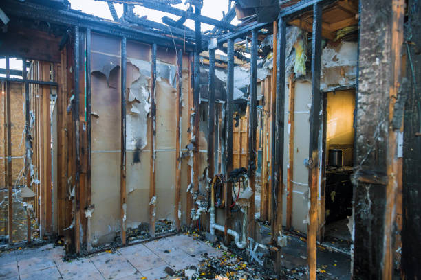 Professional Fire Damage Removal technician working in Los Gatos, CA